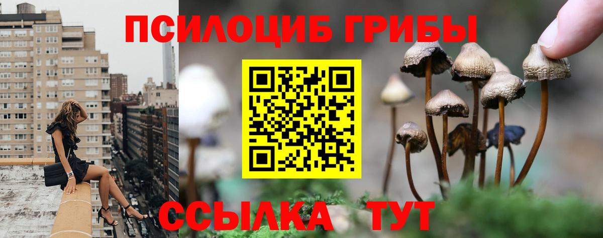 Выборг  Галлюциногенные грибы Magic Shrooms  Вход с VPN 